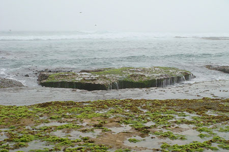 The beach in wet weather